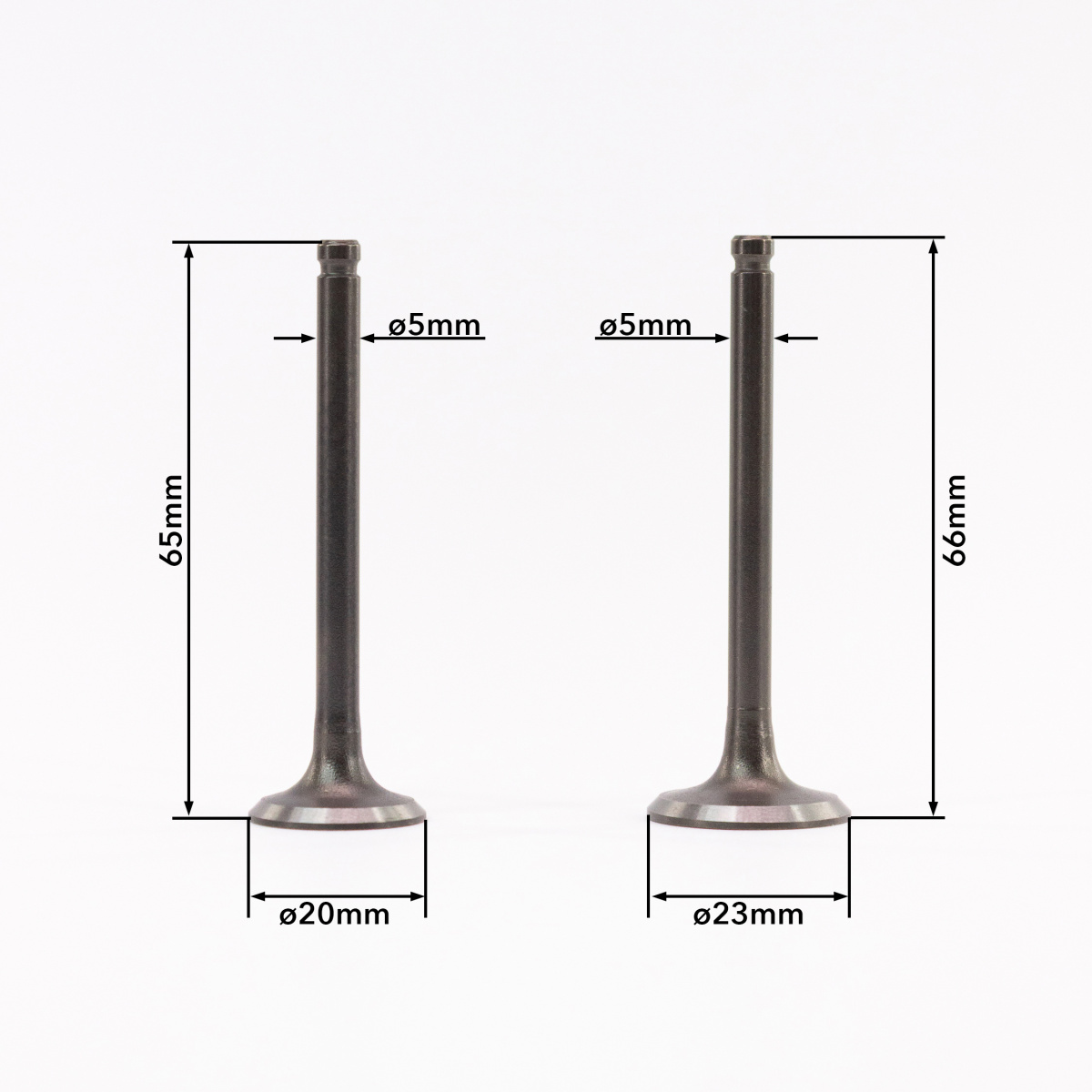 IMG_0742_ копия